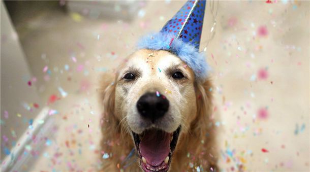 ��Ħ�г�Ҫ��ʲô��ʻ֤