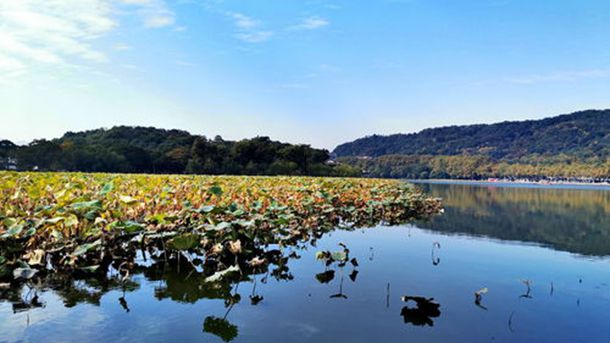 �Ƶ�綯����ʲô�� �綯����ô��