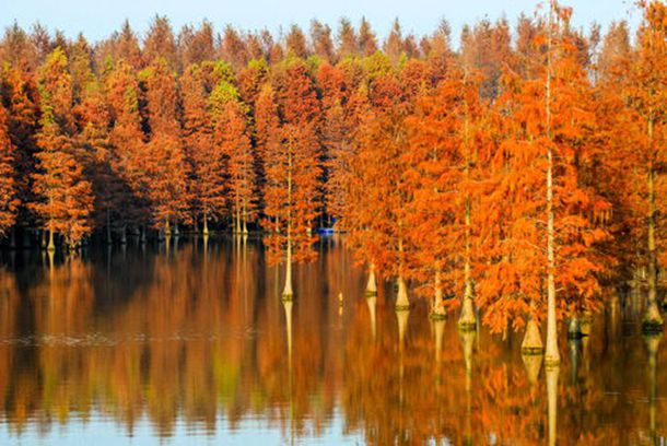 ̩��ɮ�˿��ձ�ɬ��A-V ���ڲ��� ������������