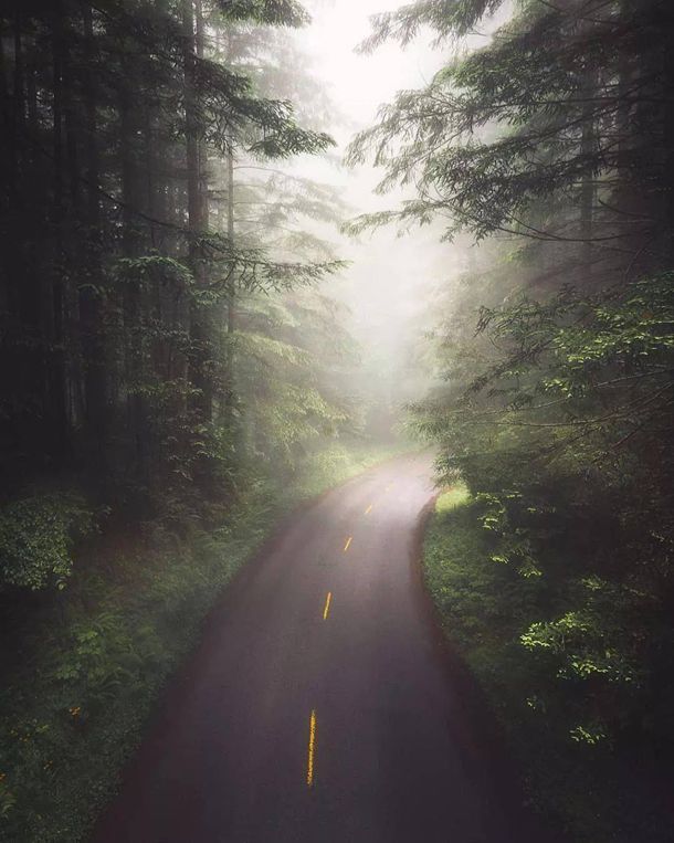 ���ڷ������˼