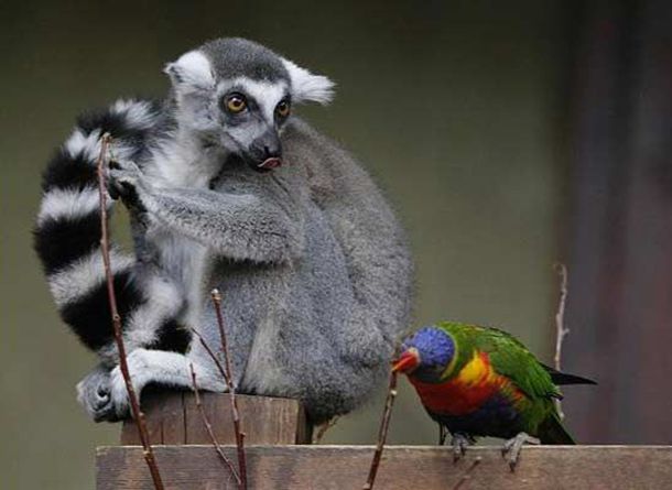 ���촩֮��������������˭˵���費�������ȫϢ����