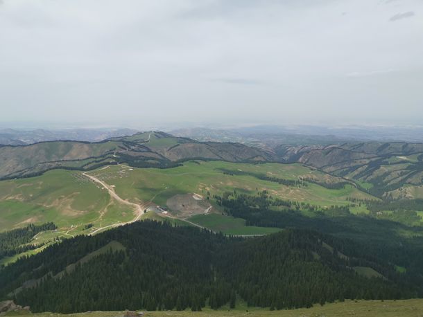 女性生殖*器(女性生殖系统) 女性生殖*器(女性生殖系统)