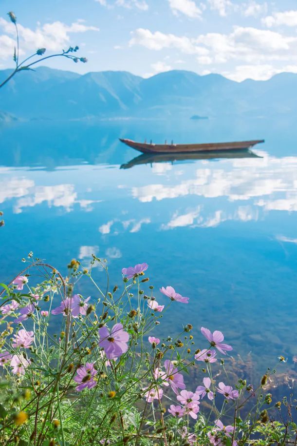 �����̡������