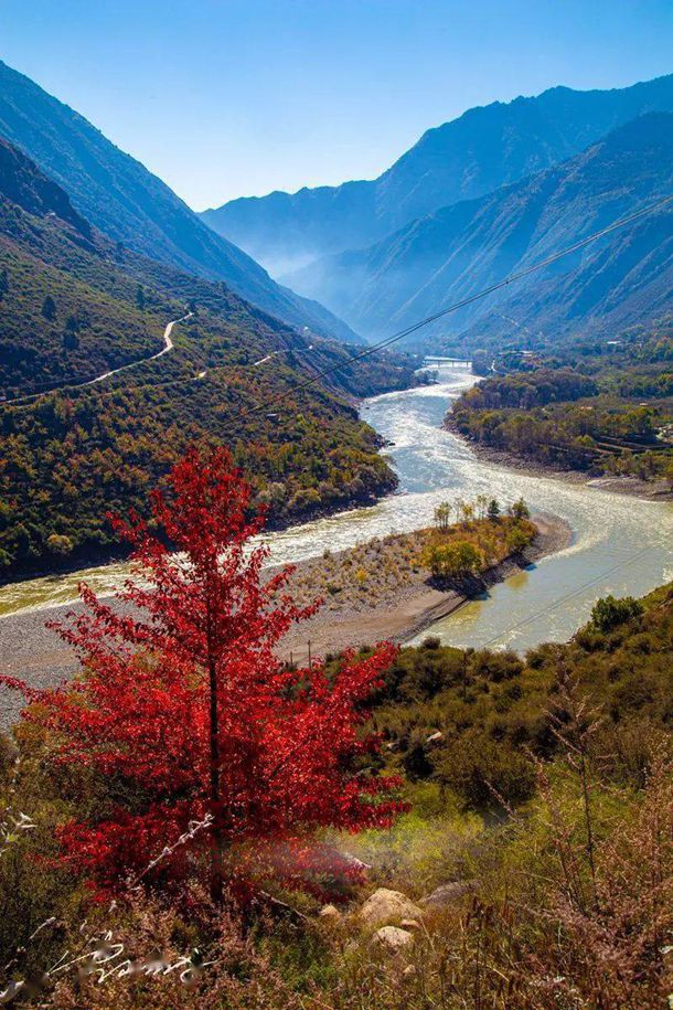 С˵���ܲ������з�������Ҫ����ľ籾�����м���Ϸ��������