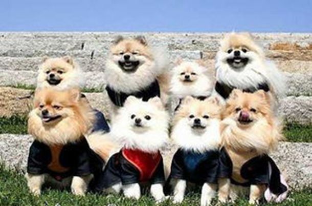 С˵�����ӵ���Ů��ʿ