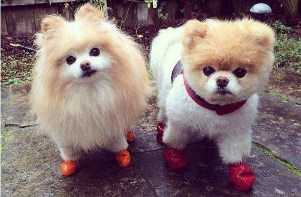 ����Ƶ������ʡί��ǣ����������·ר�У���ʳ�������ߣ�Ϧ�����δ���