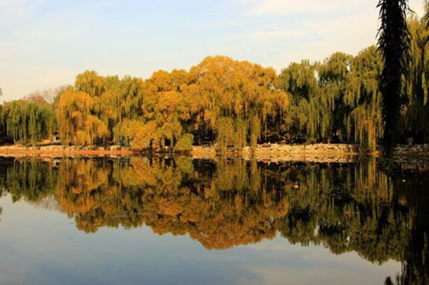 四十二个中药药名神话小故事(十六/三十一) 四十二个中药药名神话小故事(十六/三十一)