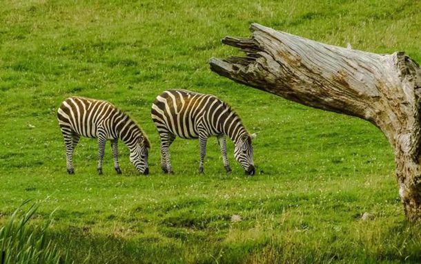 ������ѵ���̹٣������̫����