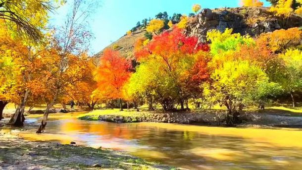 ʲô�������������ɶ������ �Ƽ�10��С����