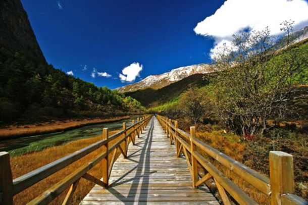 猎人打野猪时,被猛虎偷袭扑倒在地,使用绝招,死里逃生保住生命 猎人打野猪时,被猛虎偷袭扑倒在地,使用绝招,死里逃生保住生命