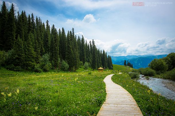 ? ���� ?���������⡷����Ե���������Ŵ��