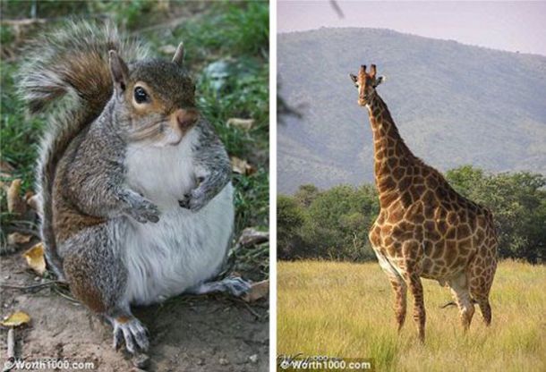 �����졷���������ɽ��̵㣬�ȶ�Ӧ�ľ����������ɽ�