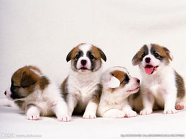 李纨酒后失态摸平儿,醉翁之意在钥匙,其实并非与世无争之人 李纨酒后失态摸平儿,醉翁之意在钥匙,其实并非与世无争之人