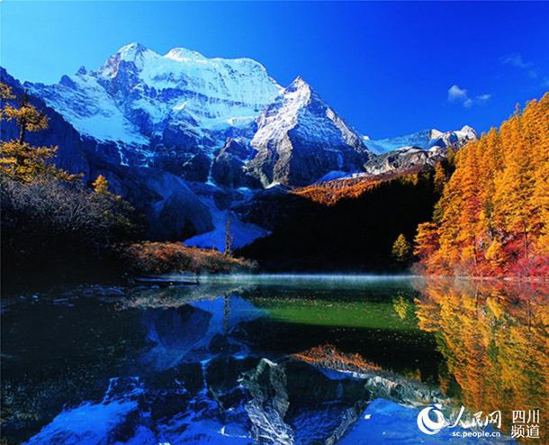 ��ѡ������ϲ�ı��������ճɹ��ޡ�by һֻ����Ĵ���� ǿ�ƣ�