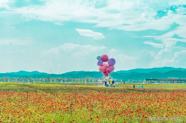 ��ʽ����ح�������� ���ġ���������ʽ����