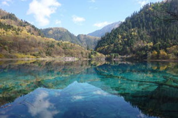 ������÷�������Ϊ�����