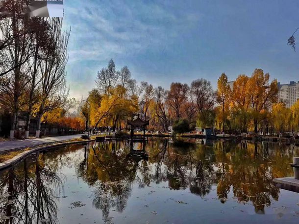 ǿ��һ��R�ġ�����֮������;��(NP)ĺĺ��