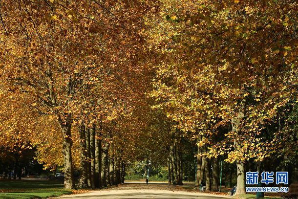 金小妹裙子这么紧硬往里穿,挤出媃揉好尴尬,身材太好根本塞不下 金小妹裙子这么紧硬往里穿,挤出媃揉好尴尬,身材太好根本塞不下