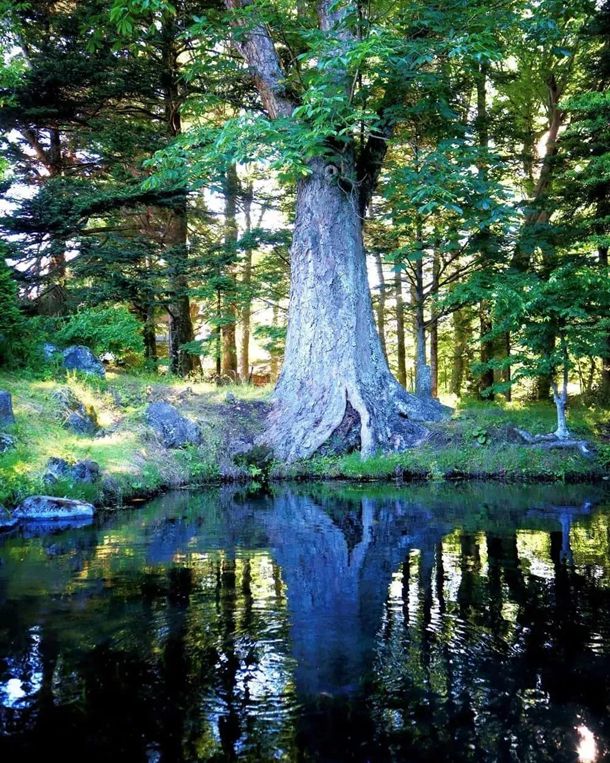 ԭ��������μ���Ů���Ƿ��Ǵ���֮�����˷��������񣬹��˹�Ȼ��ͷ��