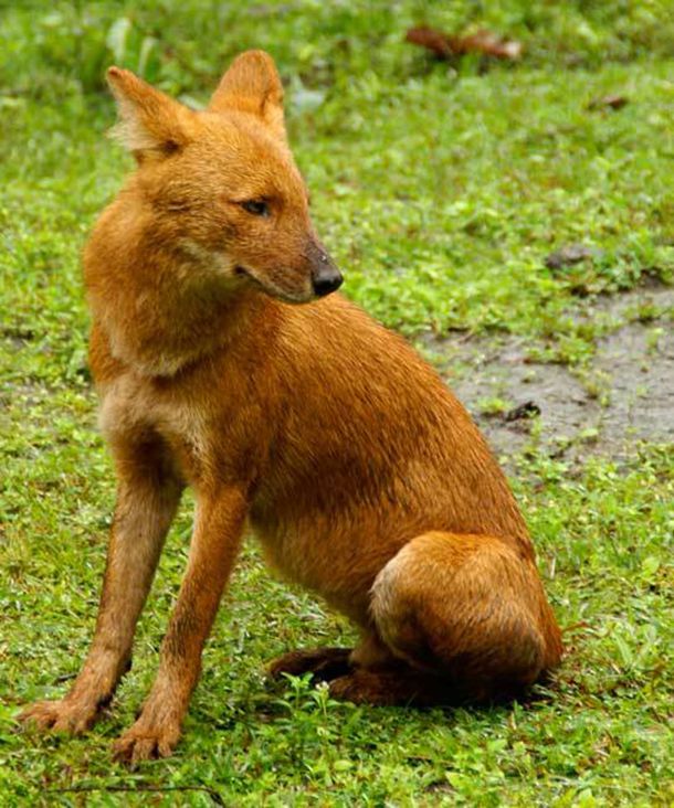 �����ĸ��˻�����ĸо� ��ĺܴ̼���