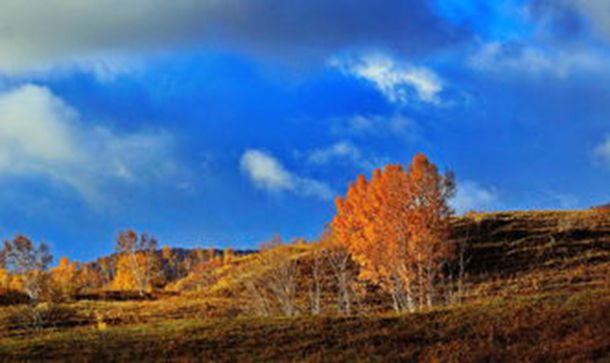 ��ô���Լ���С����ͼƬ(��ô�ҵ��Լ���С����ͼƬ)