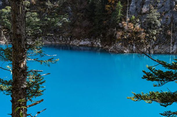 ��������������С˵ȫ������Ķ��޵���