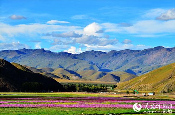 �ھӼҵ���������(��ѡ23ƪ)