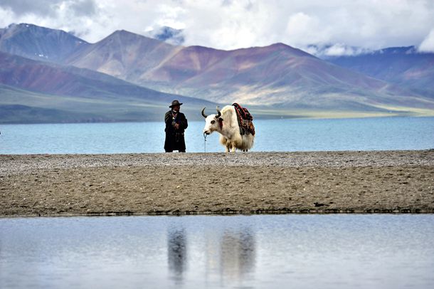超级好看的快穿文 超级好看的快穿文