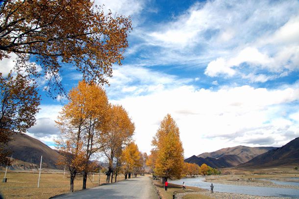 ����ֳ������ߣ������ˬ �����ֳ����ȷ��