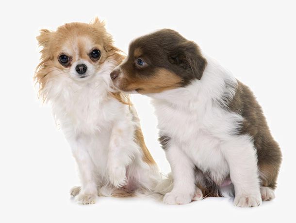 几本被书友热捧的后宫流小说,爽点密集车速快,内涵丰富值得回味 几本被书友热捧的后宫流小说,爽点密集车速快,内涵丰富值得回味