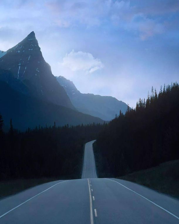 ʷ�����Ĺ�Ʊ�����ھ��������й����У�