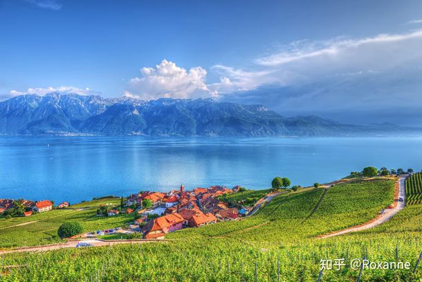 ����������ʲô��˼,��ֽ��������������